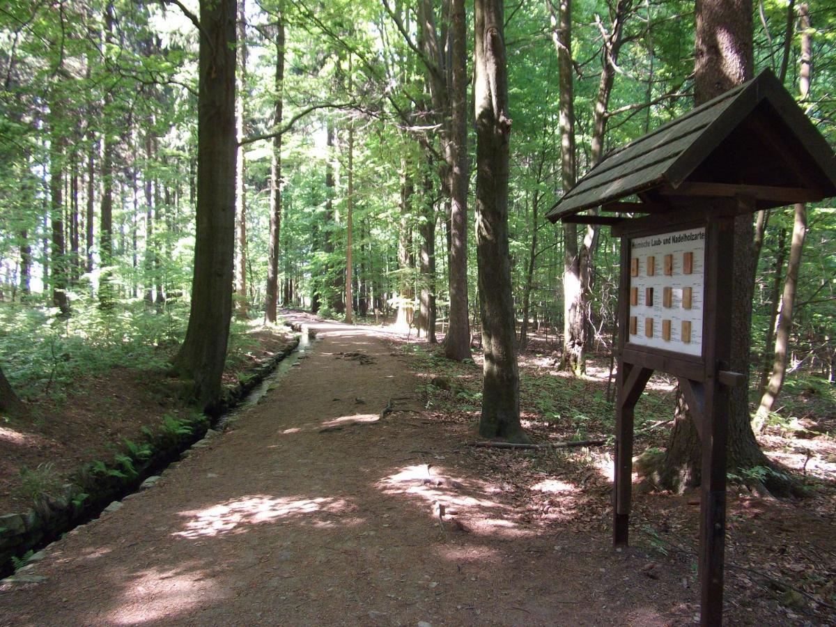 Ferienwohnung Erzgebirge - Pobershau - Mit Schoenem Ausblick, Ruhige, Beste Lage Bagian luar foto