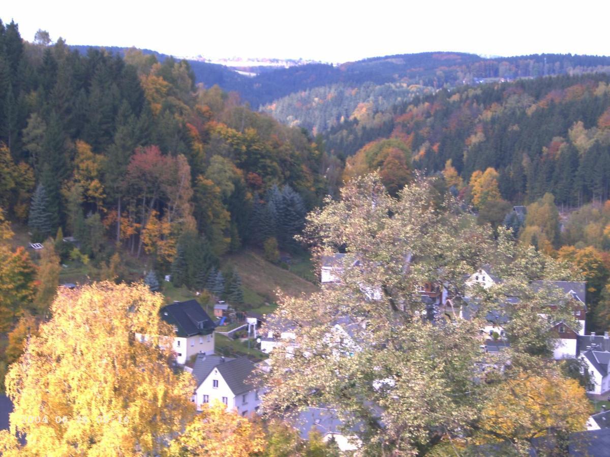 Ferienwohnung Erzgebirge - Pobershau - Mit Schoenem Ausblick, Ruhige, Beste Lage Bagian luar foto